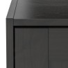 Ikea Rakkestad Wardrobe 2 Doors Black-Brown