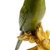 Deco Figurine Flower Parrot 13cm Ref 52916