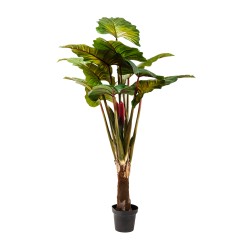 Deco Plant Rainforest Green 160cm Ref 60720