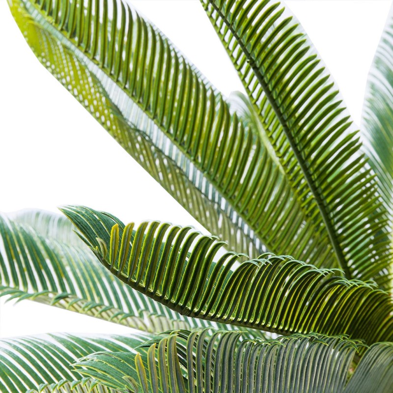 Sykas Tree Kare Deco Plant Cycas Tree 78cm Ref 61200