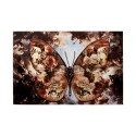 Kare Glass Picture Butterfly Ref 53584