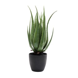 Kare Deco Plant Aloe 69cm Ref 60724