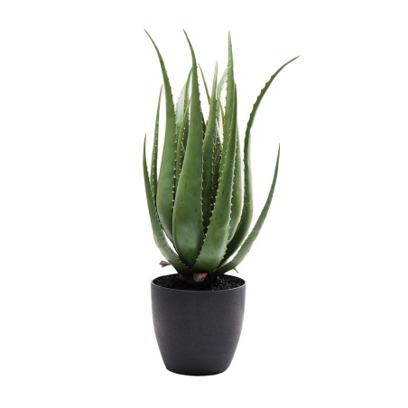 Kare Deco Plant Aloe 69cm Ref 60724