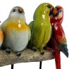 Kare Wall Hanger Exotic Birds Ref 84794