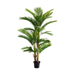 Kare Deco Plant Palm Tree 190cm Ref 51789