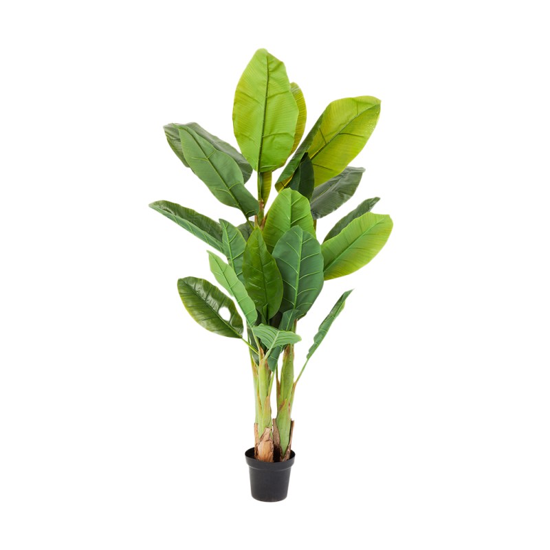 Kare Deco Plant Banana Tree 180cm Ref 64003