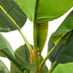 Kare Deco Plant Banana Tree 180cm Ref 64003