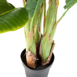 Kare Deco Plant Banana Tree 180cm Ref 64003