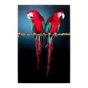 Kare Glass Picture Twin Parrot 80x120cm Ref 53086