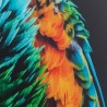 Kare Glass Picture Tropical Parrot 120x80cm Ref 53089