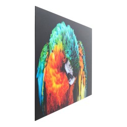 Glass Picture Tropical Parrot 120x80cm Ref 53089