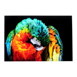 Glass Picture Tropical Parrot 120x80cm Ref 53089