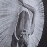Kare Picture Framed Passion of Ballet 100x120cm Ref 52641