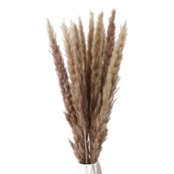 Cavendish Natural Flower Dry Reed Grass
