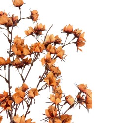 Bella Casa Artificial Flower Orange 82 cm CM246115