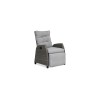 Collection Tamarin Cole Reclining Set of 2 Chairs +Side table Grey