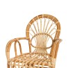 Collection Tamarin Cibauu Rattan Chair