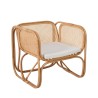 Collection Tamarin Vector Arm Chair Rattan