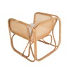 Collection Tamarin Vector Arm Chair Rattan