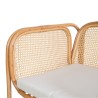 Collection Tamarin Vector Arm Chair Rattan