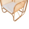 Collection Tamarin Vector Arm Chair Rattan