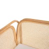 Collection Tamarin Vector Arm Chair Rattan